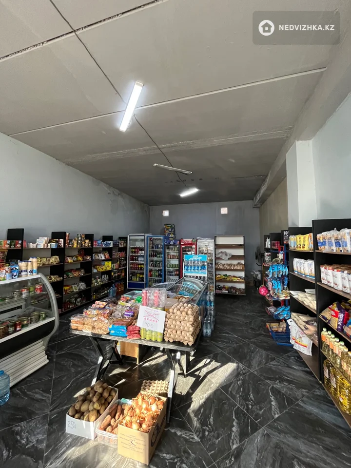 Магазин, Общепит и др., этаж 1 из 2, 600 м², фотография 5