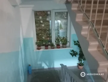 2-комнатная квартира, этаж 4 из 5, 50 м², На длительный срок, миниатюра 2