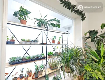 Помещение, этаж 1 из 10, 137 м², миниатюра 4