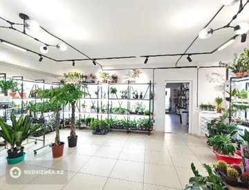 Помещение, этаж 1 из 10, 137 м², миниатюра 6